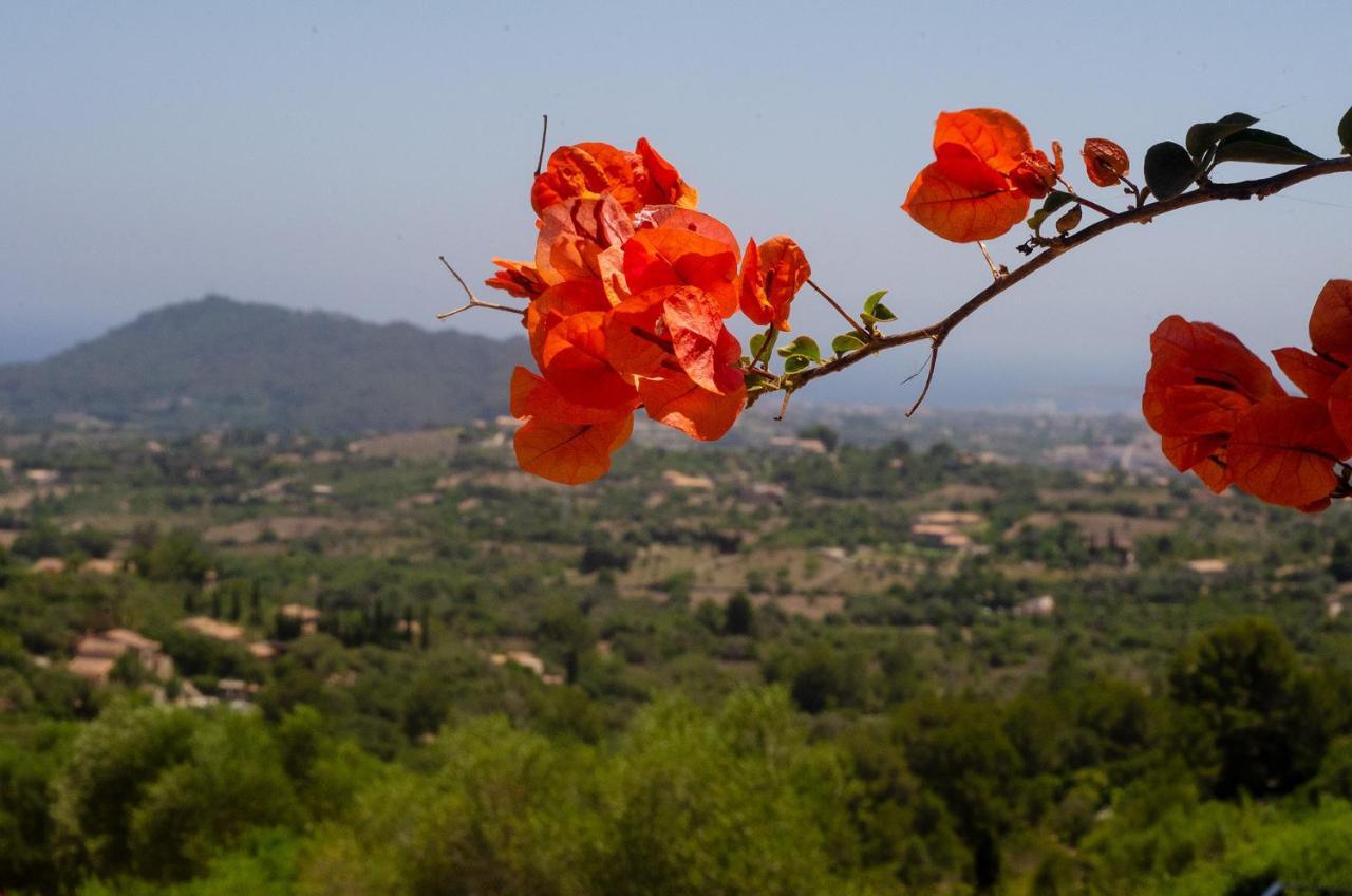 Villa El Cel Son Servera  Esterno foto